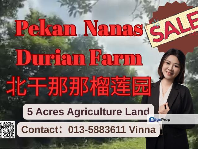 Shop for sale in Pekan Nanas, Johor