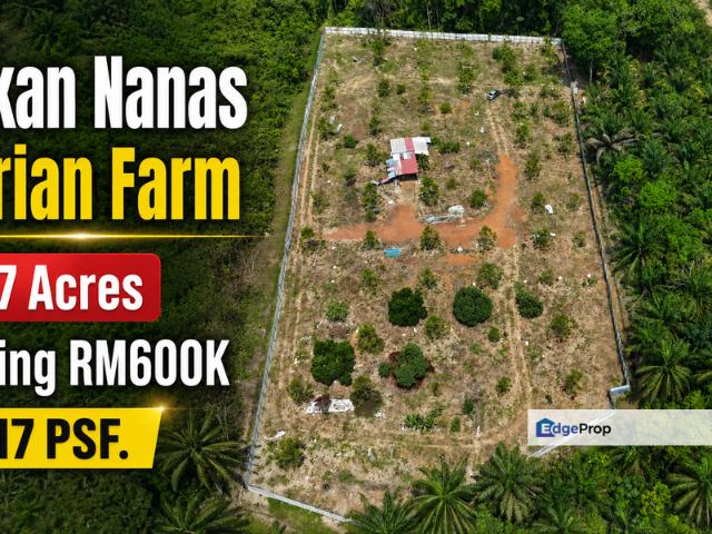 Shop for sale in Pekan Nanas, Johor