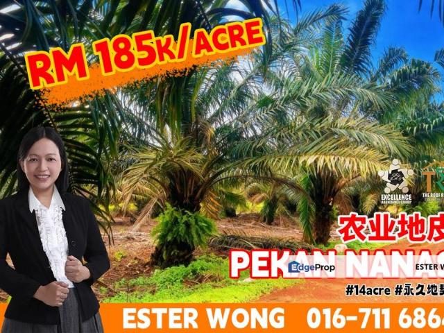 Shop for sale in Pekan Nanas, Johor