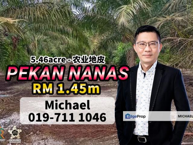 Shop for sale in Pekan Nanas, Johor