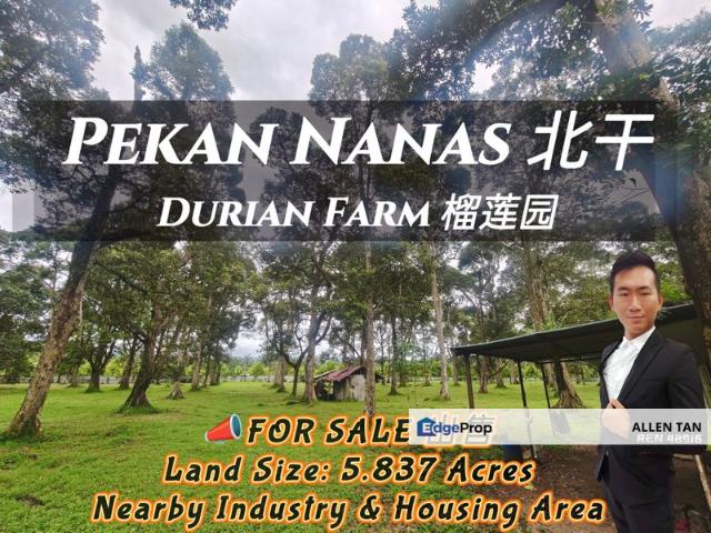 Shop for sale in Pekan Nanas, Johor