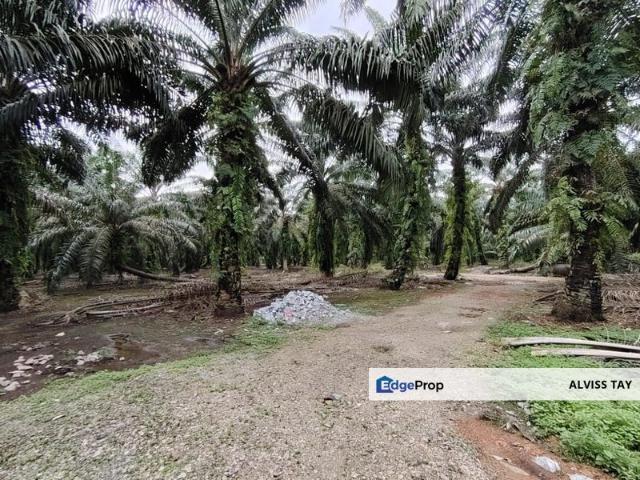 House for sale in Pekan Nanas, Johor