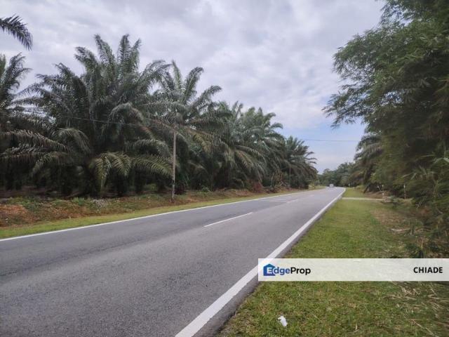 House for sale in Pekan Nanas, Johor