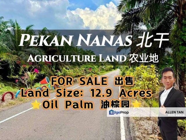 Shop for sale in Pekan Nanas, Johor
