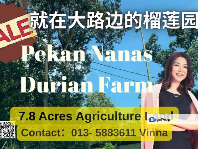 Shop for sale in Pekan Nanas, Johor
