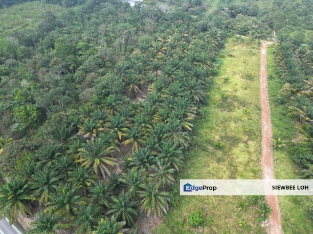 Shop for sale in Pekan Nanas, Pontian