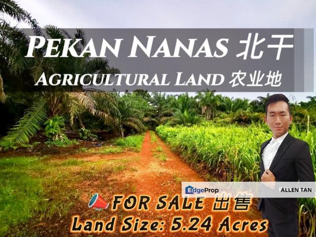 Shop for sale in Pekan Nanas, Pontian