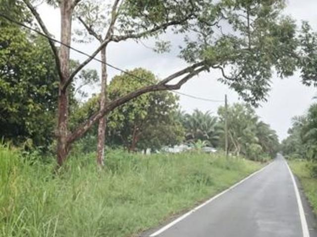 Shop for sale in Pekan Nanas, Pontian