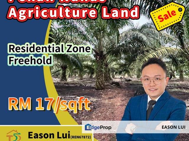 Shop for sale in Pekan Nanas, Johor