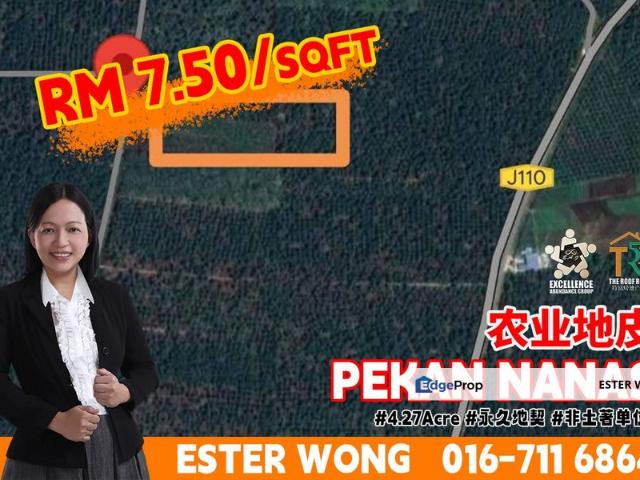 Shop for sale in Pekan Nanas, Johor