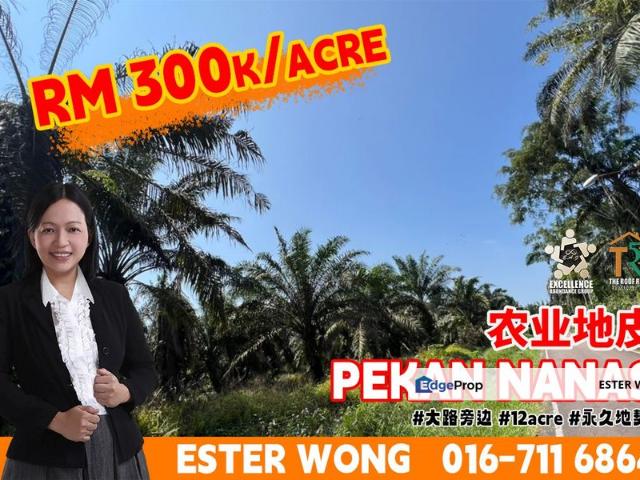 Shop for sale in Pekan Nanas, Johor