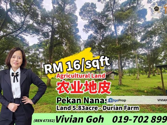 Shop for sale in Pekan Nanas, Johor