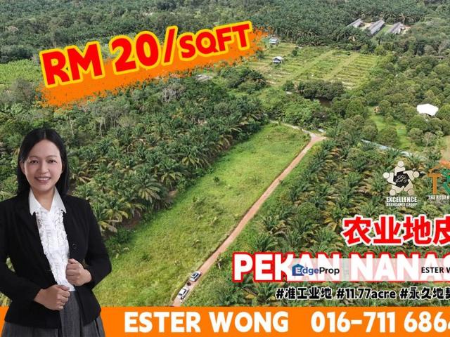 Shop for sale in Pekan Nanas, Johor