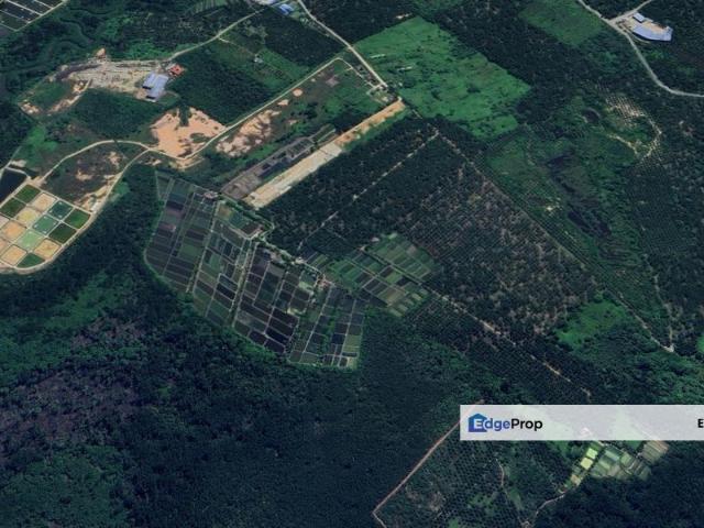 Shop for sale in Pekan Nanas, Johor