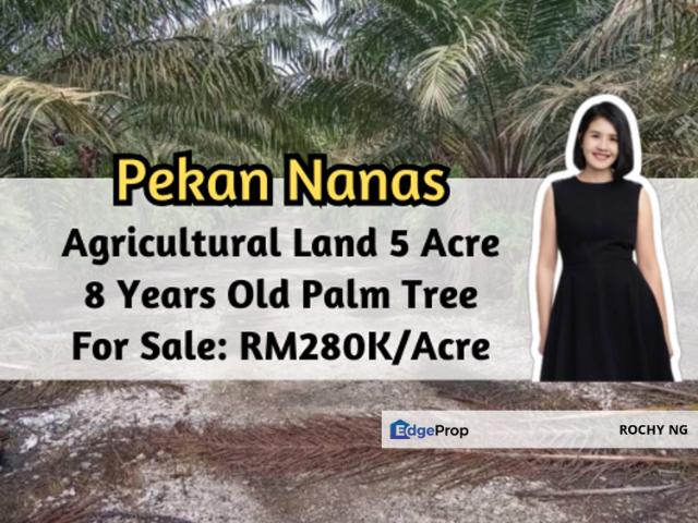 Shop for sale in Pekan Nanas, Johor
