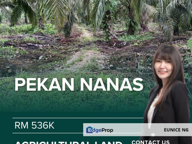 Shop for sale in Pekan Nanas, Johor