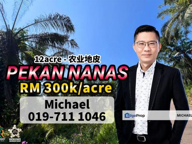 Shop for sale in Pekan Nanas, Johor