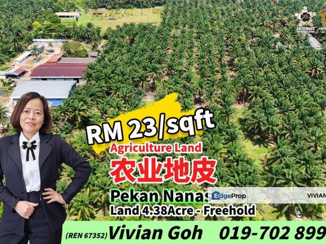 Shop for sale in Pekan Nanas, Johor