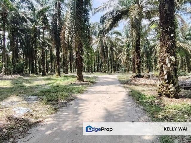 Shop for sale in Pekan Nanas, Johor