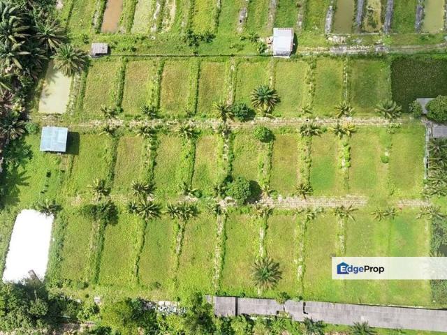 Shop for sale in Pekan Nanas, Pontian