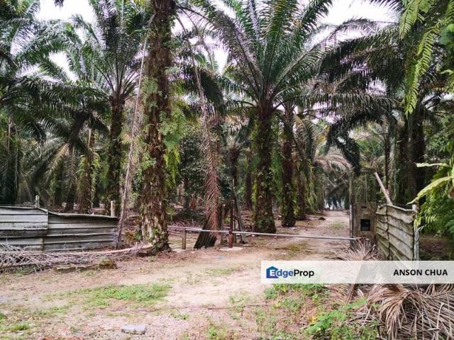 Shop for sale in Pekan Nanas, Johor