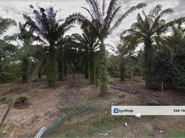 Shop for sale in Pekan Nanas, Johor