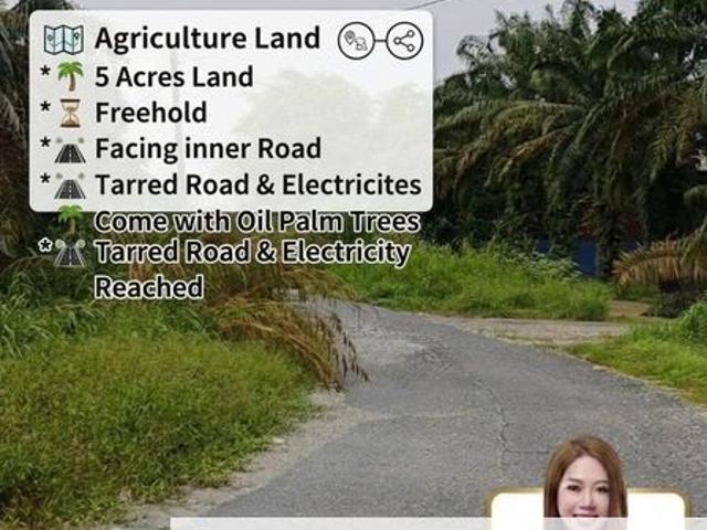 Warehouse for sale in Pekan Nanas, Johor