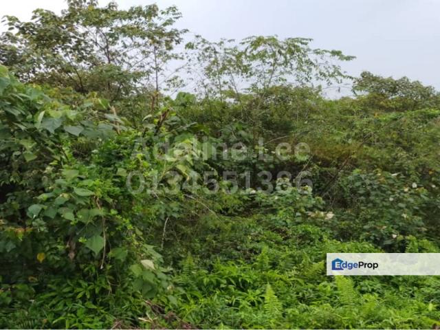 Warehouse for sale in Pekan Nanas, Johor