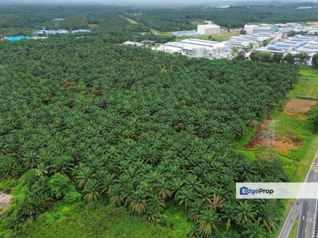 Warehouse for sale in Pekan Nanas, Johor