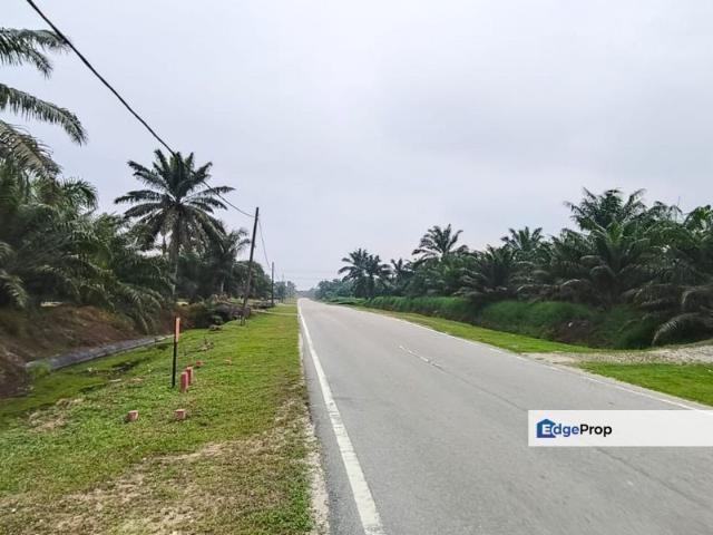 Warehouse for sale in Pekan Nanas