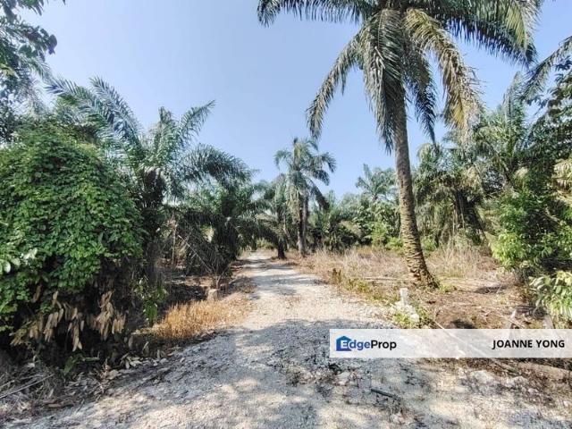 Warehouse for sale in Pekan Nanas, Johor