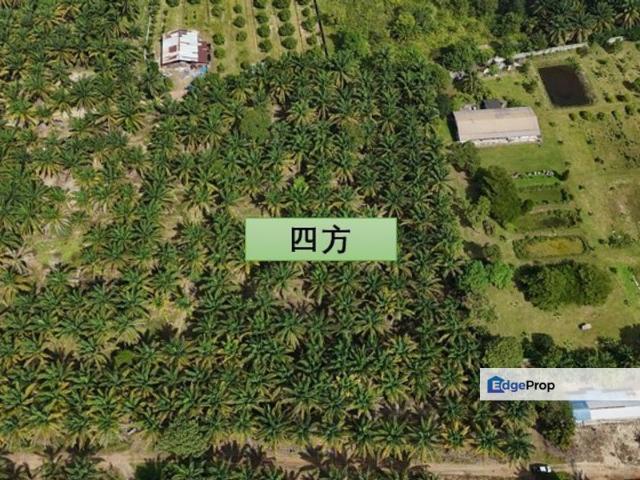 Warehouse for sale in Pekan Nanas, Johor