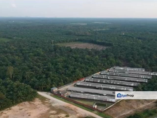 Warehouse for sale in Pekan Nanas, Johor