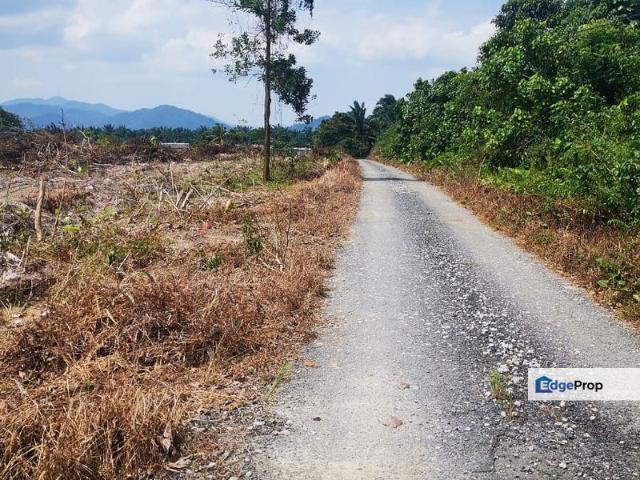 Shop for sale in Pekan Nanas, Johor