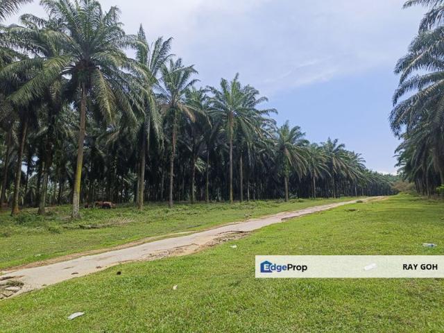 Warehouse for sale
