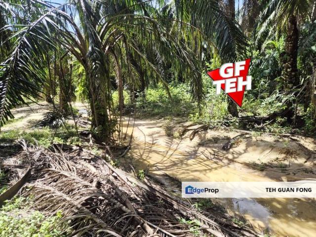 Shop for sale in Perak, Selama