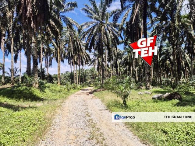 Shop for sale in Perak, Selama