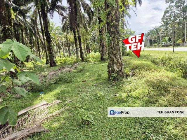 Shop for sale in Perak, Selama