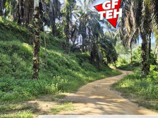 Shop for sale in Perak, Selama