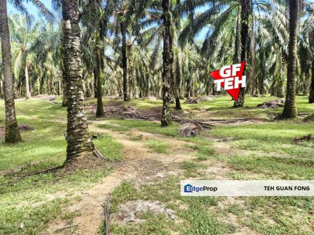 Shop for sale in Perak, Selama