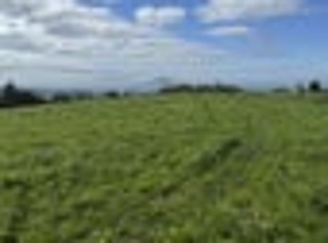 Land for sale in Waikato