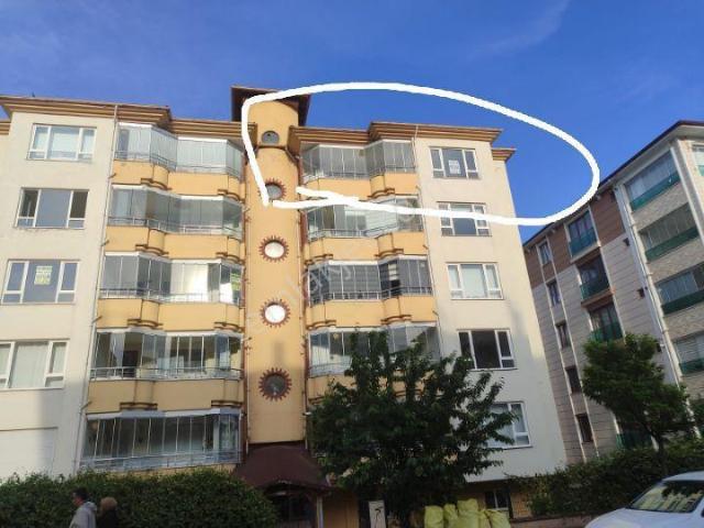 Mimar Sinan, Turhal içerisinde kiralık mülk
