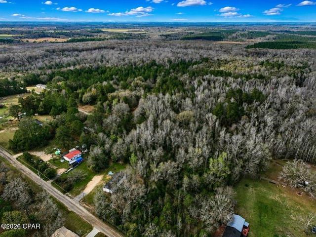 Land for sale in Graceville, Florida