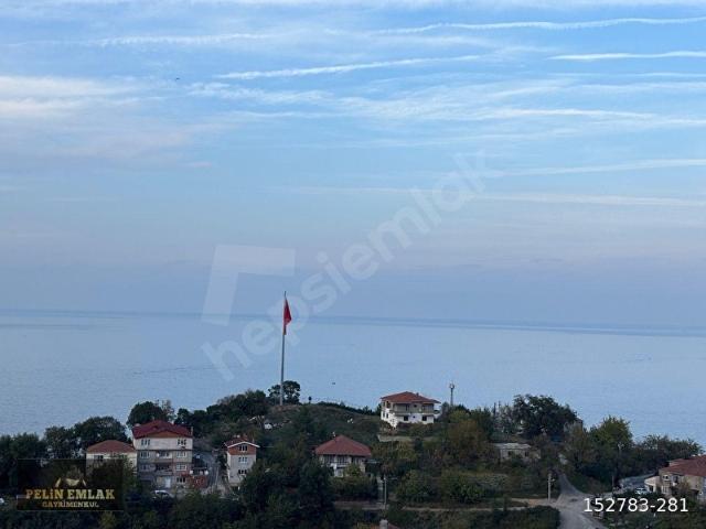 Zonguldak Merkez, Zonguldak içerisinde satılık mülk