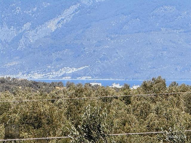 Burhaniye, Balikesir içerisinde satılık mülk