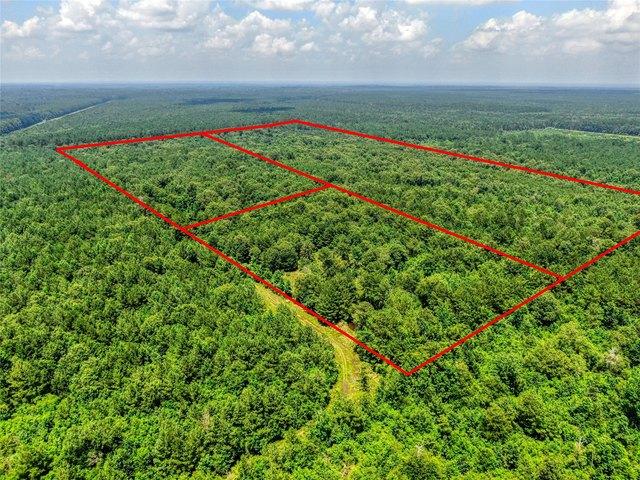 Land for sale in Shepherd, Texas