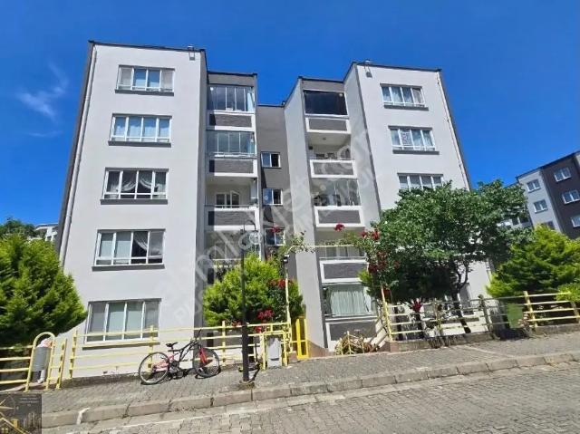 Pelitköy, Atakum içerisinde kiralık mülk