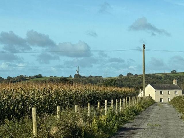 Apartment for rent in Llanelli, Wales