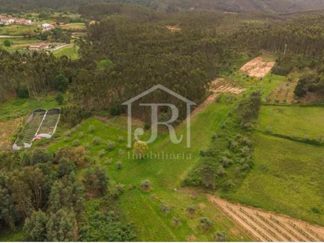 Terreno venda em Penacova, Coimbra