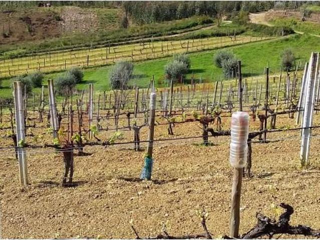 Terreno venda em Penacova, Coimbra